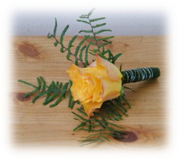 Slideshow der Bräutigamanstecker