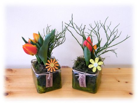 Frühling