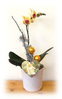 Weihnachten 086