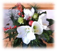 Weihnachten 099