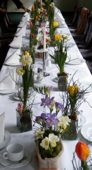 Bild einer Festtafel